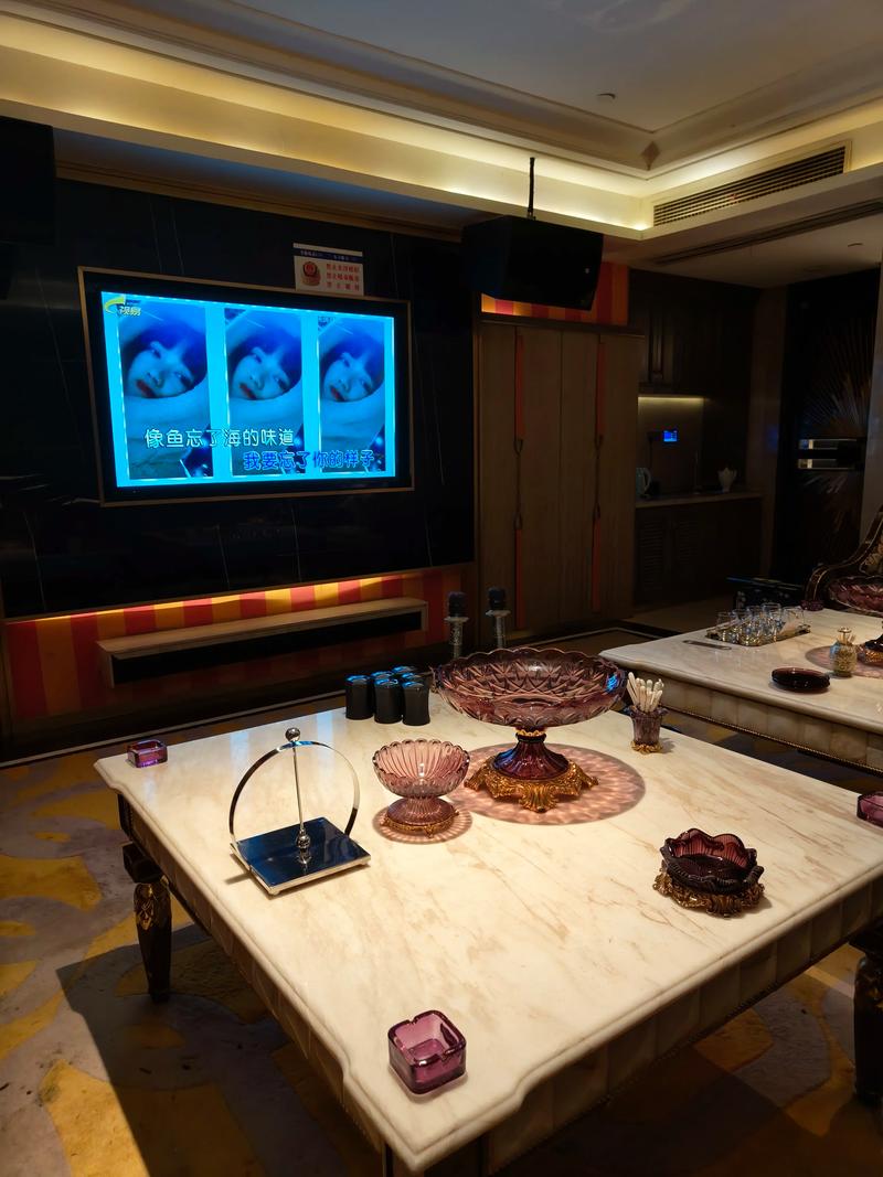 长春商务ktv畅玩商务ktv攻略指南-绿园区ktv预定